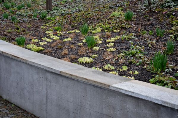 Concrete Wall Construction in Brighton