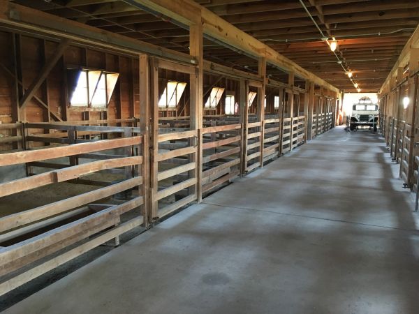 Barn Slab Construction in Brighton