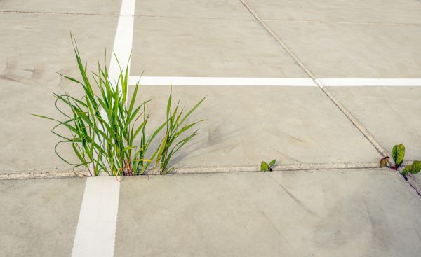 Concrete Parking Installation in Brighton