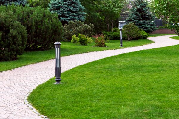 Backyard Sidewalk Installation in Brighton